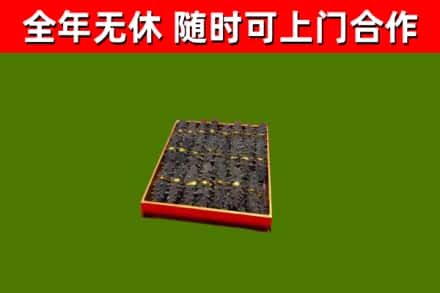 兰西回收海参